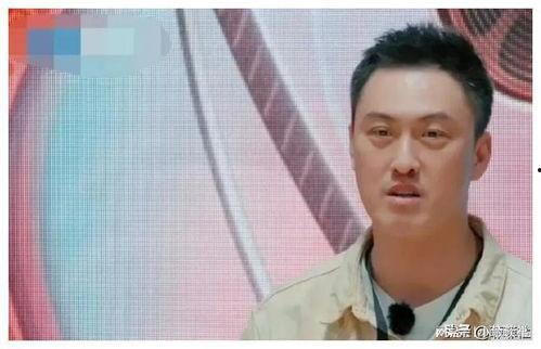 娱乐圈最火的吃瓜是谁,揭秘谁是吃瓜群众心中的焦点人物